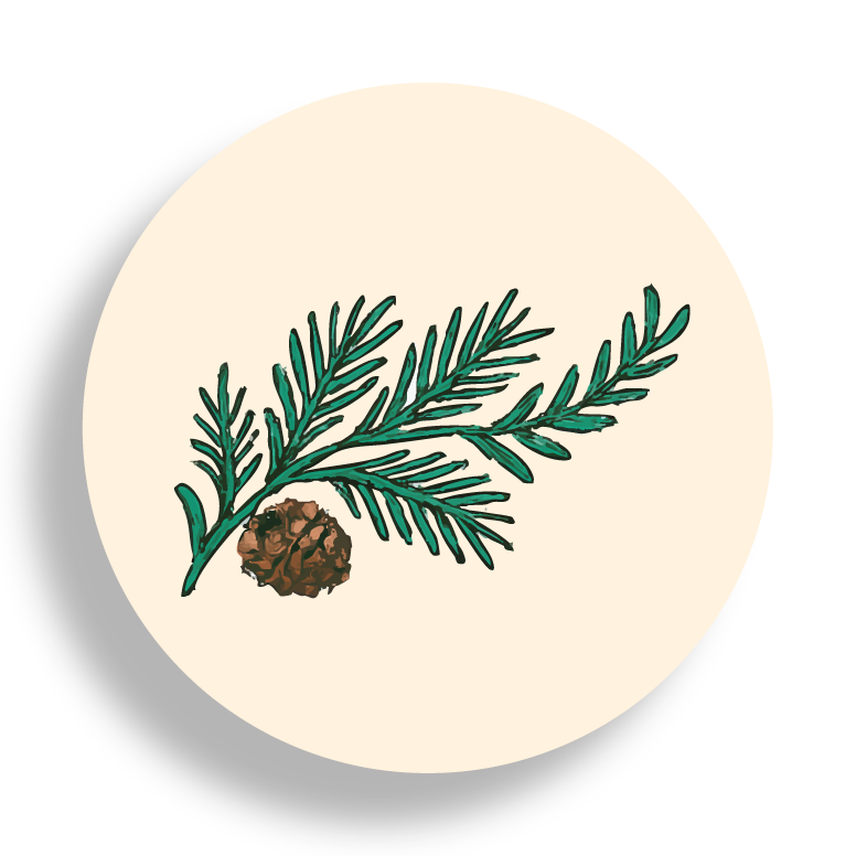 Terraphones logo